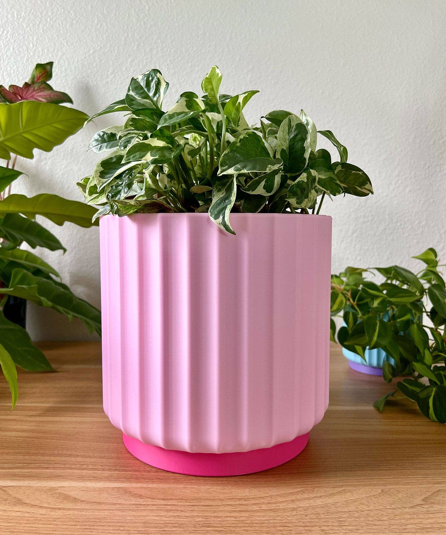 Daisy Wood Design - Wholesale Plant Pot - Bold Color Pop 8" Planters – Colorful Dreamhouse Singles2