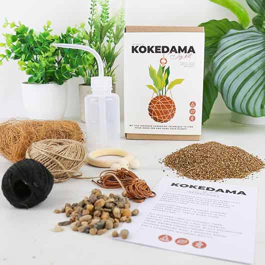 Gift Republic - Wholesale DIY Craft Kit - The Art of Kokedama - DIY Kit