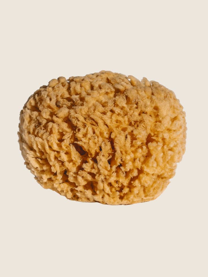 naturlig badsjösponge för wholesale av Nautical Farms