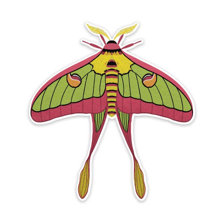 Chinese Moon Moth Vynil sticker for wholesale by PalettebyDiana