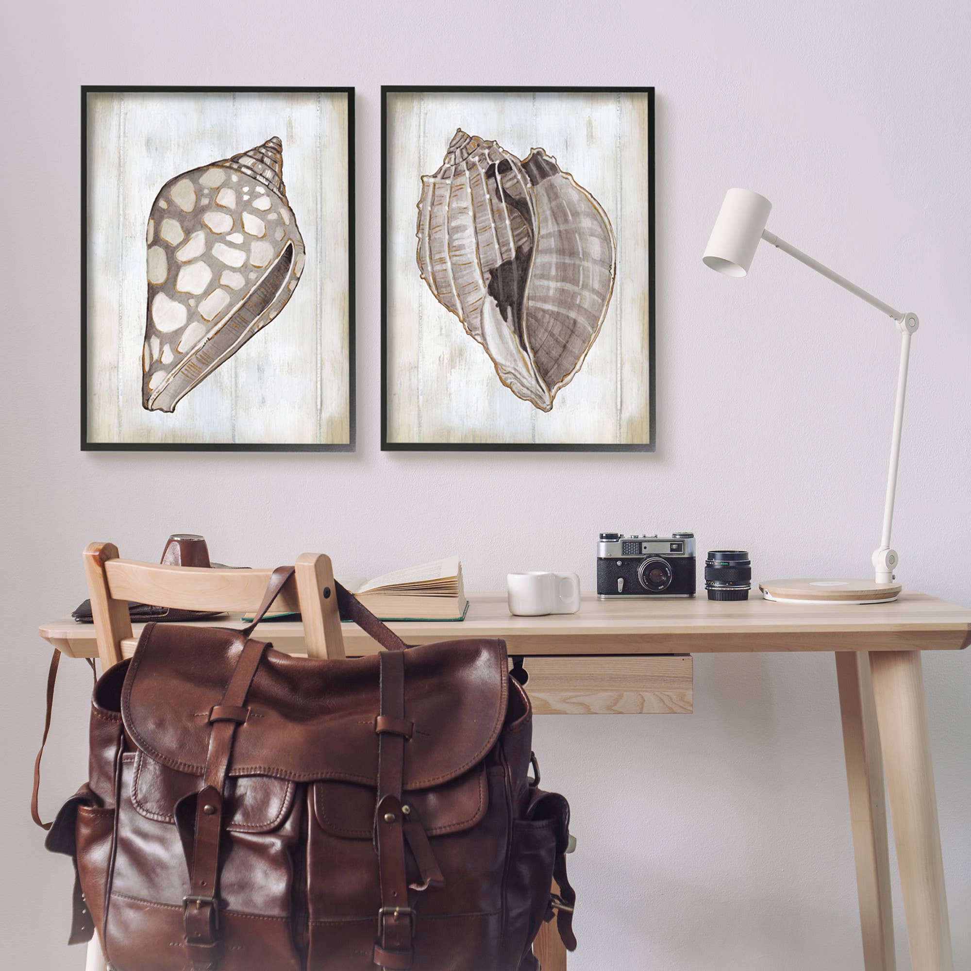 Stupell Industries - Wholesale Gallery Wall Set - Brown Nautilus Sea Shells 2pc Framed2