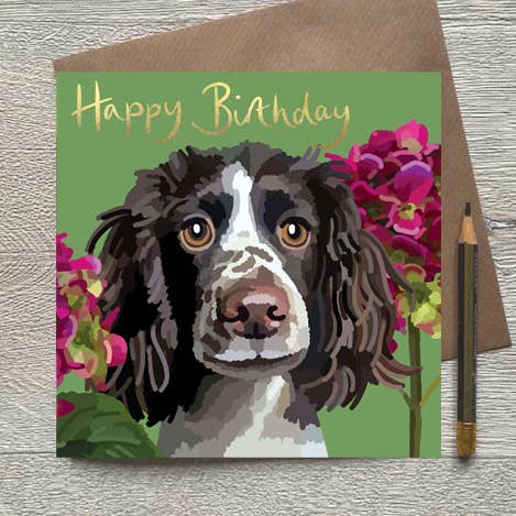 PT 01 - Springer Spaniel Happy Birthday Greeting Card for wholesale by Sarah Kelleher