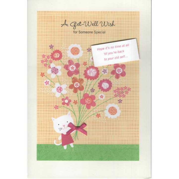 AFH294 Get Well Card AFH294 Get Well Card