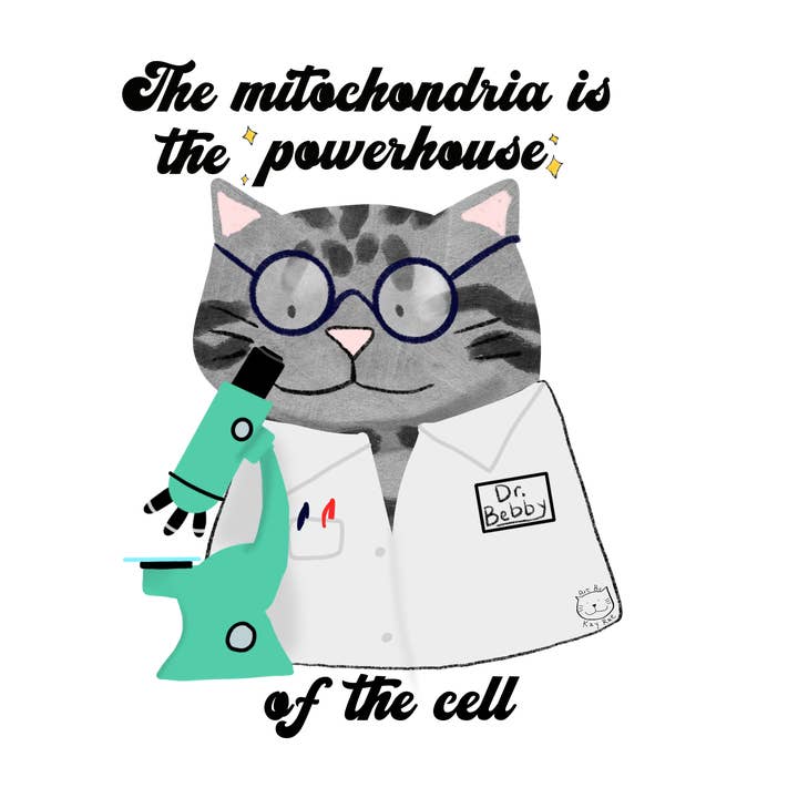 Science Sticker for wholesale by Art By Kay Rae