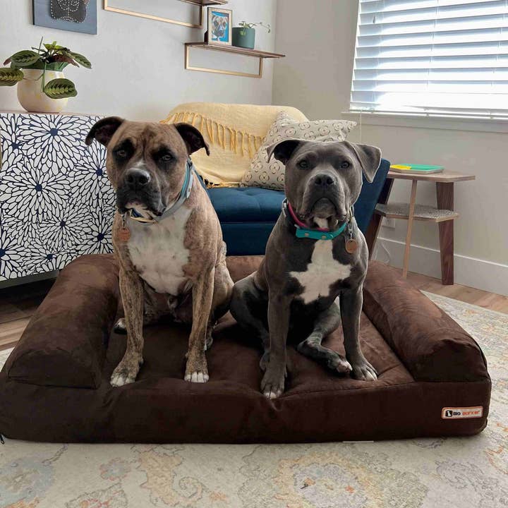 Barker Beds - Vente Panier – chien - Lit orthopédique pour chien 7" - Édition canapé10