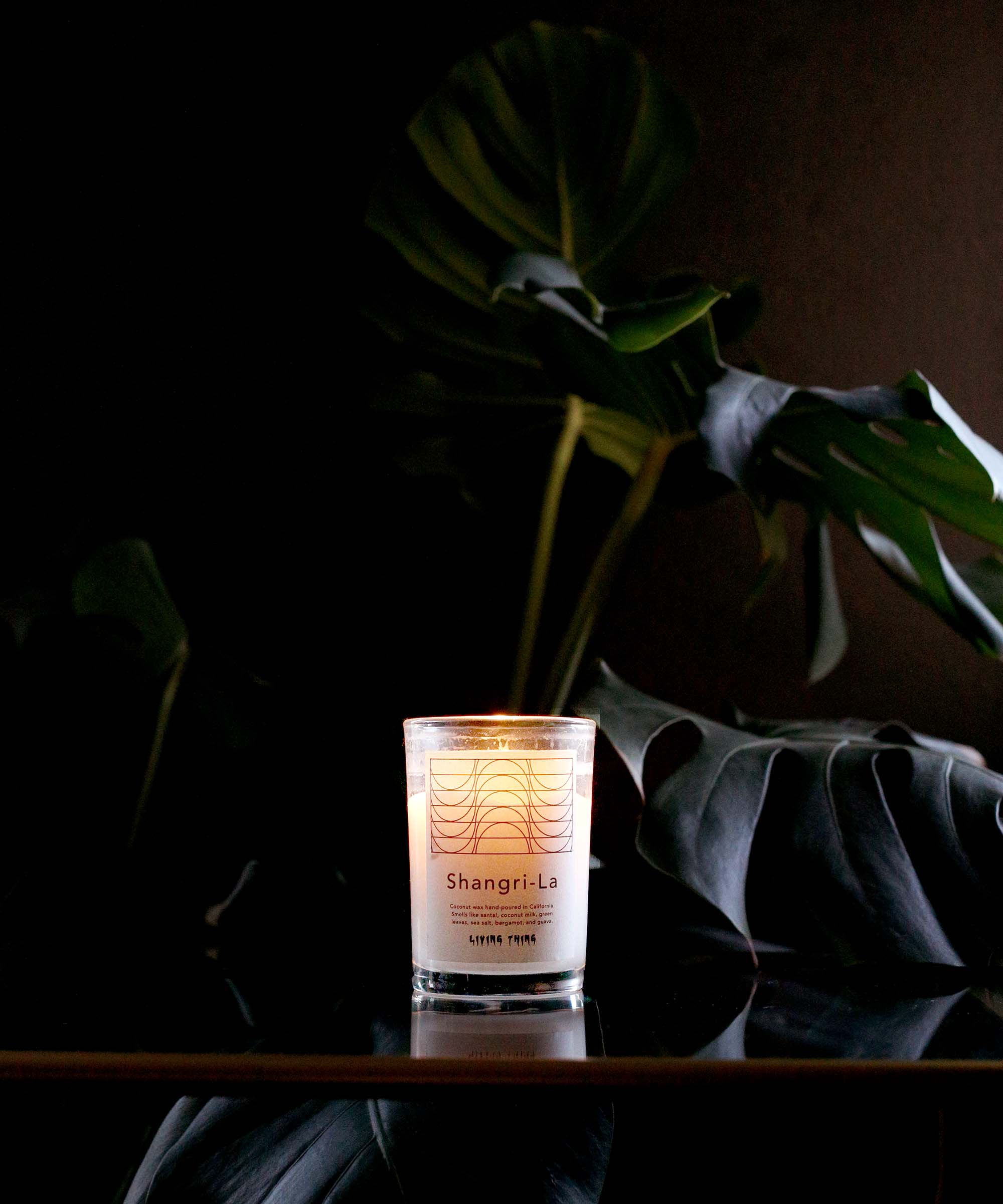 Living Thing - Vendita all'ingrosso Candela in vasetto - Shangri-La: Candela tropicale Guava, cocco e legno di sandalo3