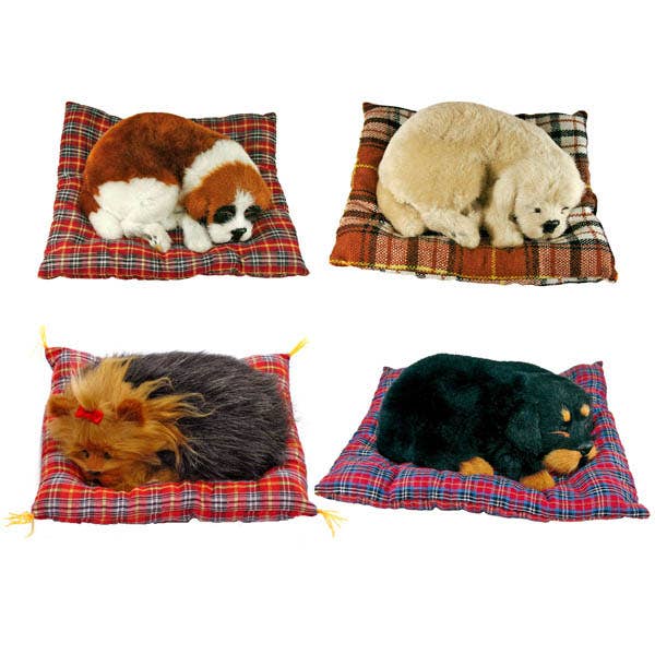 Surtido Perros Tumbados en Cojin Grandes pour la vente par JUMI