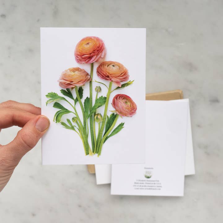 Bottle Branch – Engroshandel Hverdagshilsen kort – Kort - Ranunculus-kort1