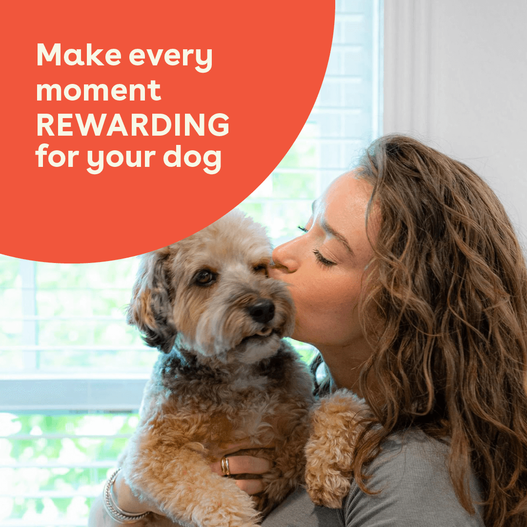 Pupford - Wholesale Pet Treats - Dog - Freeze Dried Minnows 1.5oz4