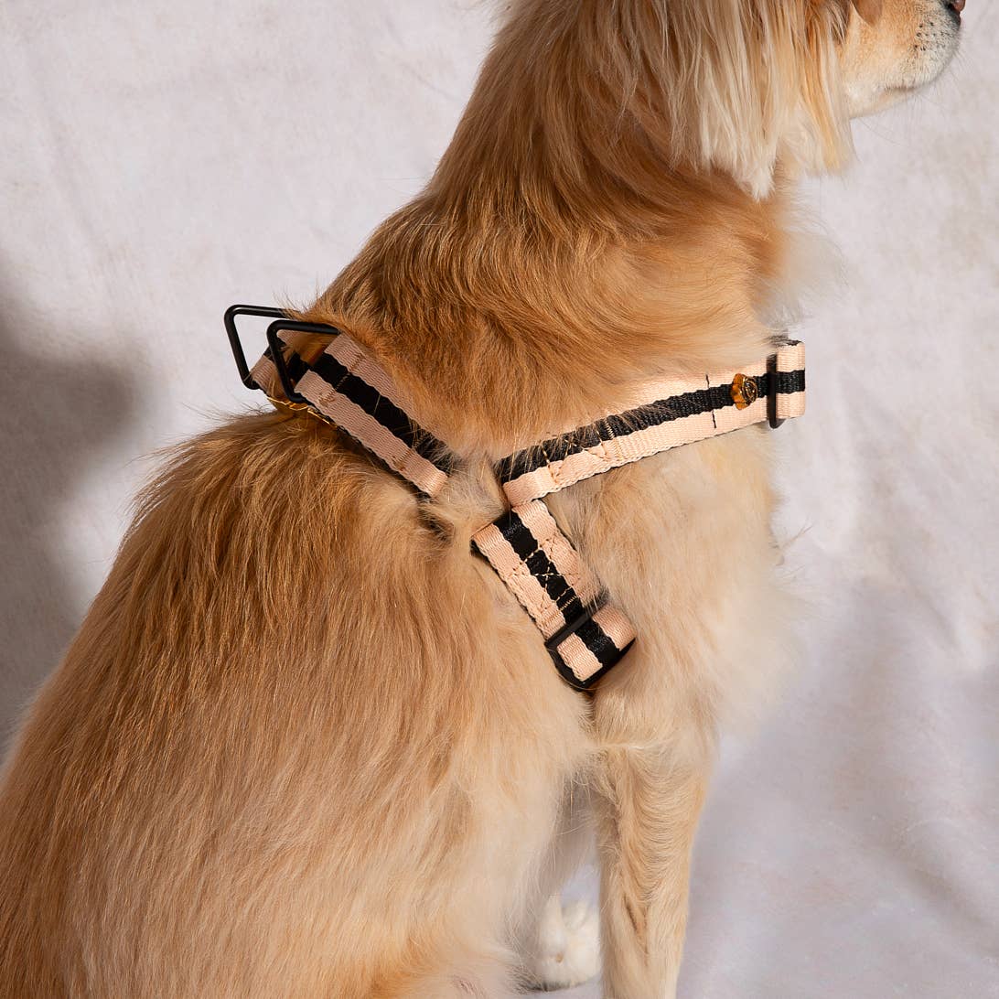 Saint Rue - Wholesale Pet Harness - Dog - Le Classic Dog Harness14