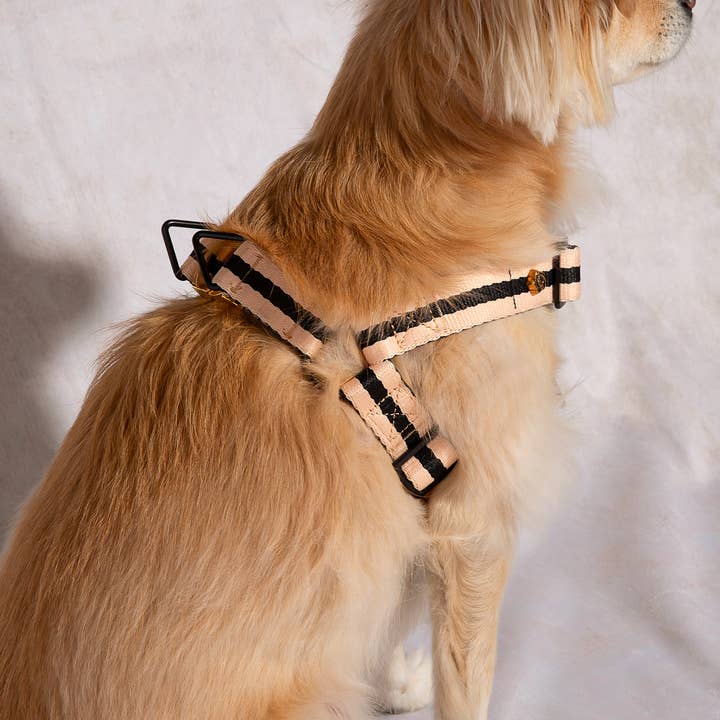 Saint Rue - Wholesale Pet Harness - Dog - Le Classic Dog Harness14