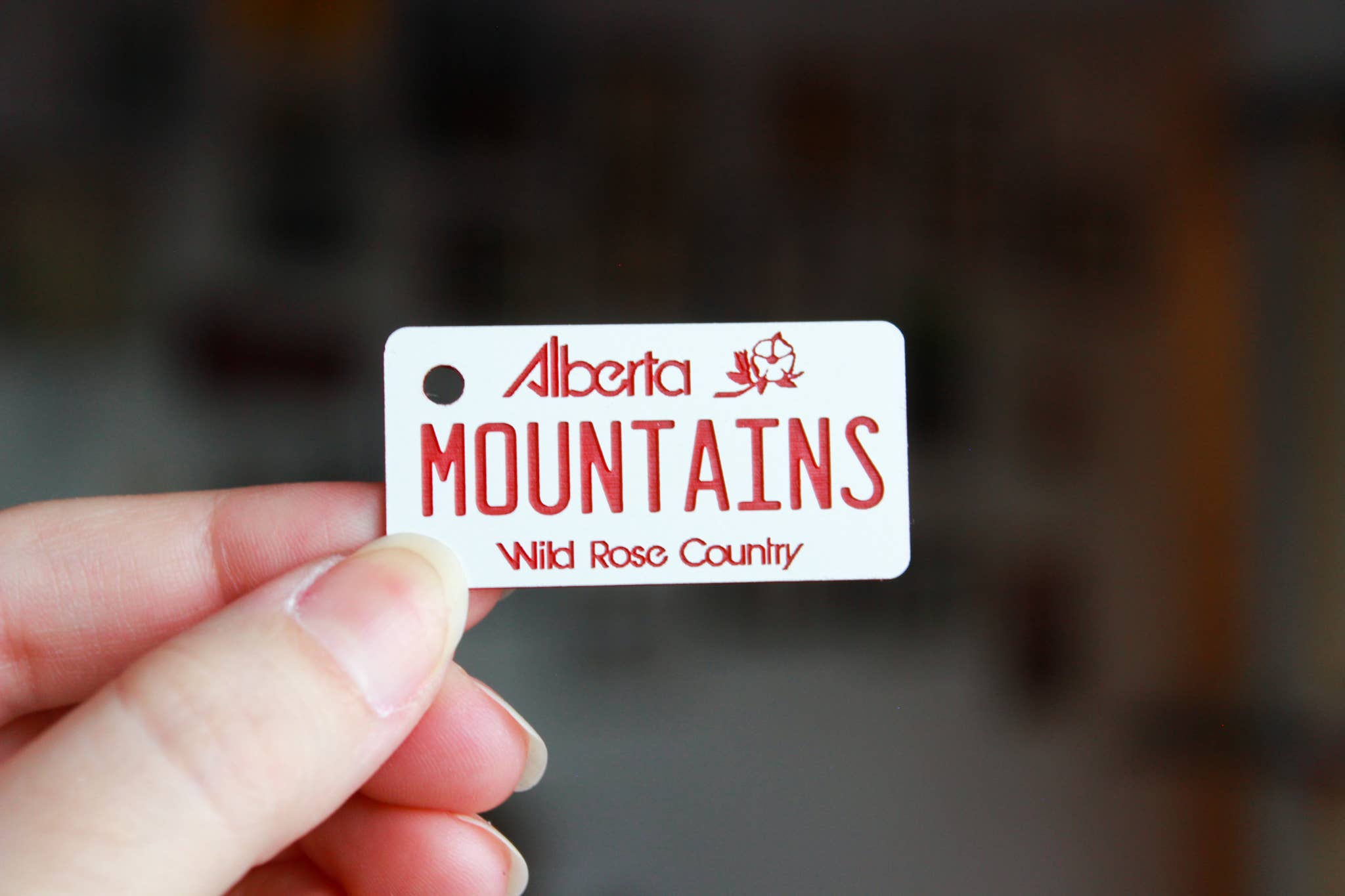 The Laundry Room Shop - Wholesale Keychain - Unisex - Customizable Engraved Plastic Keychain - Alberta5