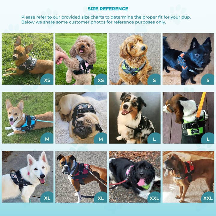 Joyride Harness - Wholesale Pet Harness - Dog - LUXE - Made in USA - Joyride Dog Harness (Solid Colors)3