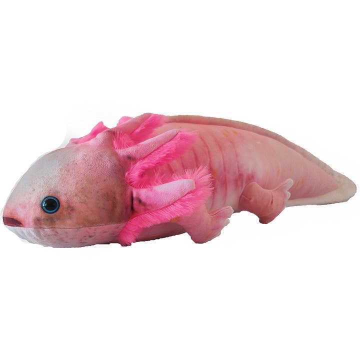 Axolotl 22" Pink Plush Stuffed Animal for wholesale by Texas Toy Distribution