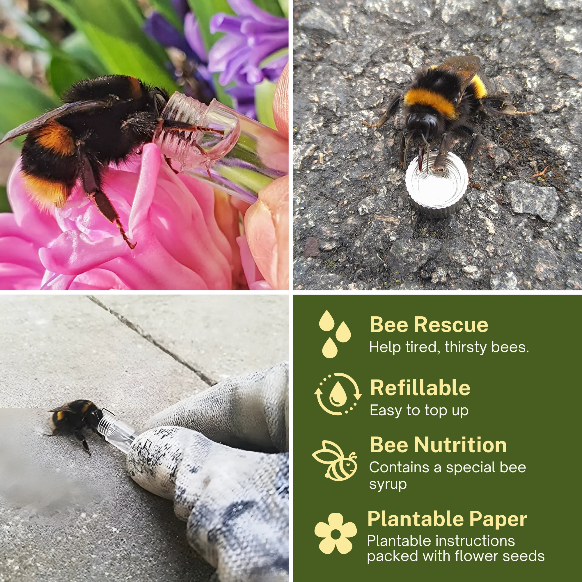 Revive a Bee - Venta al por mayor Llavero - Unisex - Llavero Kit de Rescate de Abejas de Emergencia en Papel Semilla Plantable8