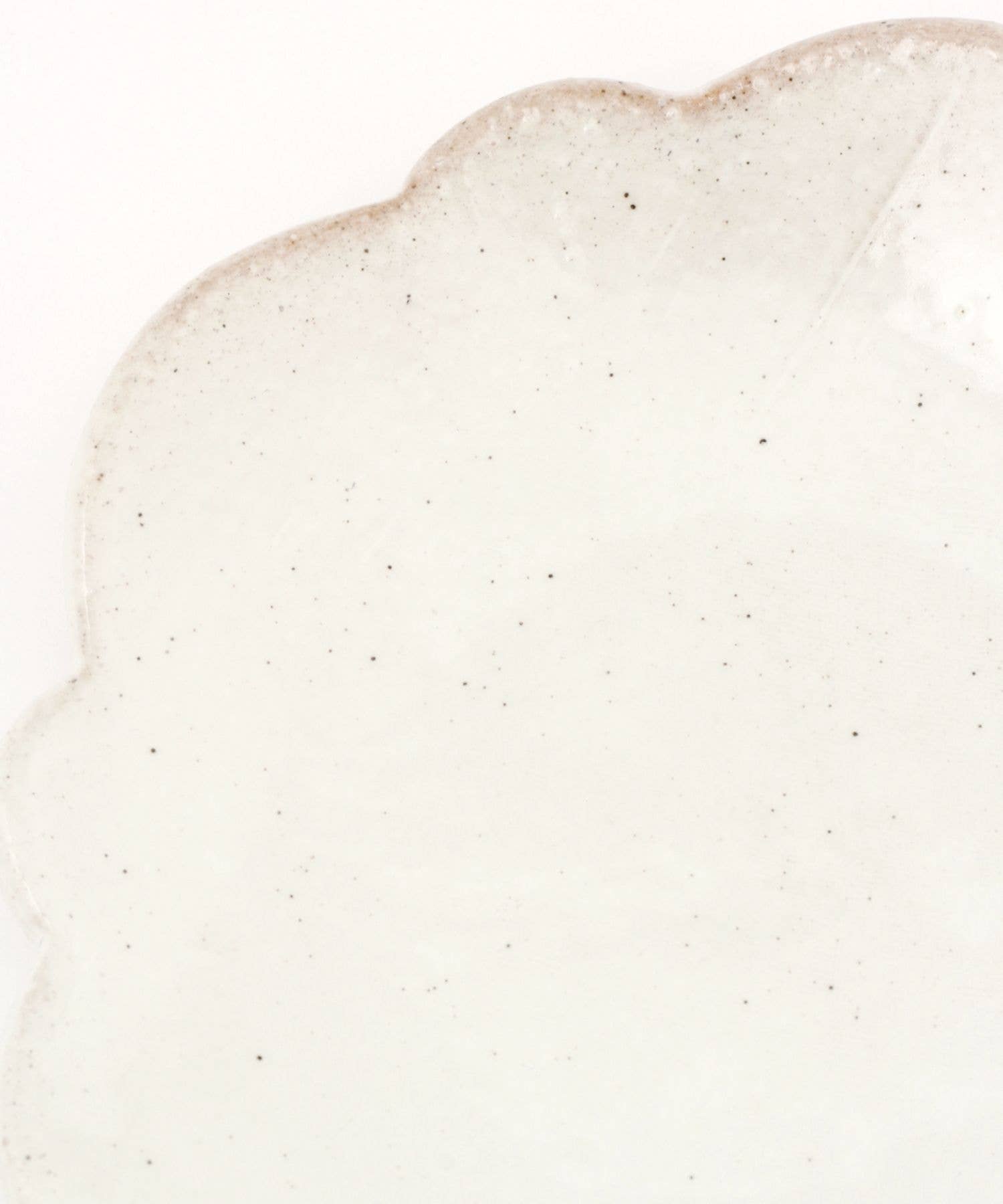 LAKOLE - Wholesale Decorative Plate/Dish/Bowl - Tatara-Zukuri Small Plate Morning Glory13