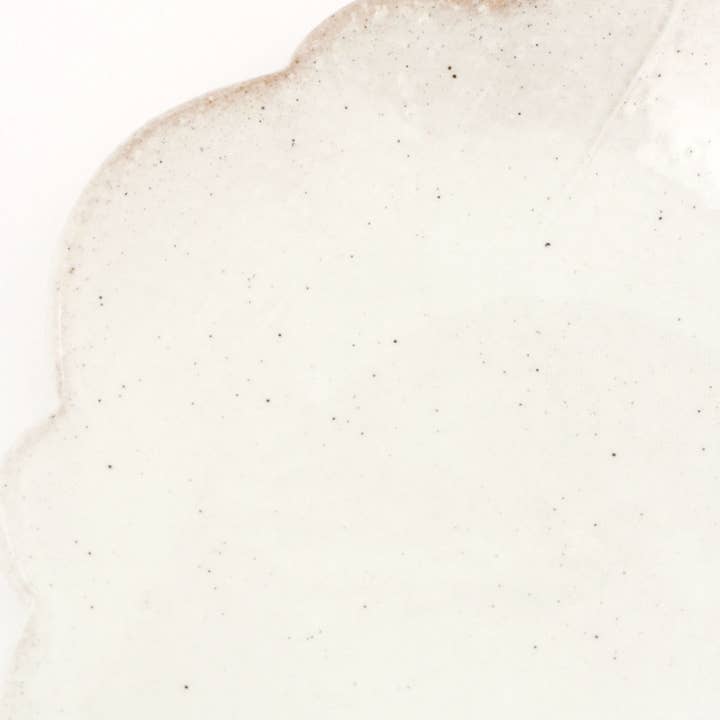 LAKOLE - Wholesale Decorative plate/dish/bowl - Tatara-Zukuri Small Plate Morning Glory6