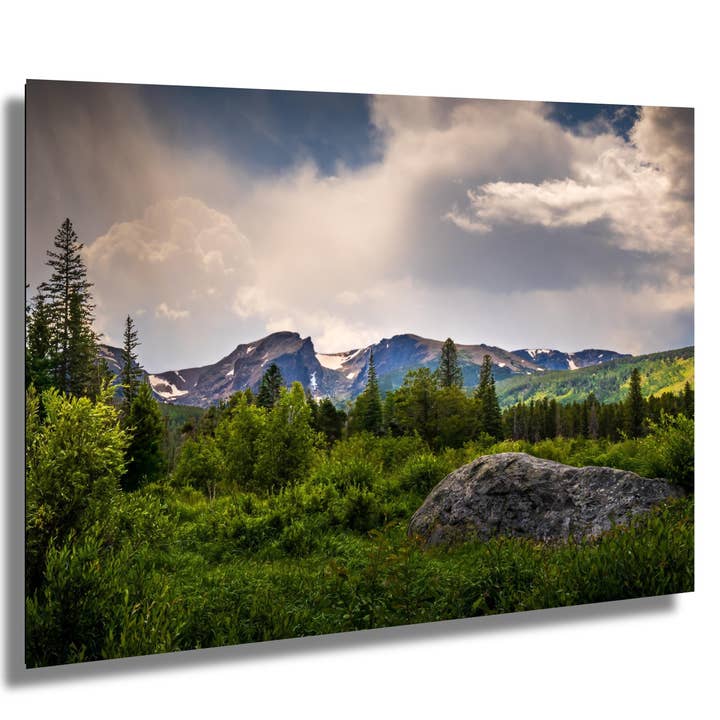 Rocky Mountain National Park View Through Lush Greenery Wall Art Print Colorado Nature Photography Aluminum/Acrylic/Metal/Canvas Home Decor for wholesale by Images By Cheri