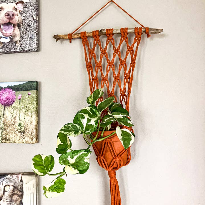 Why Knot - Wholesale Hanging Planter - Wall Plant Hanger - Handmade Macrame Pot Holders