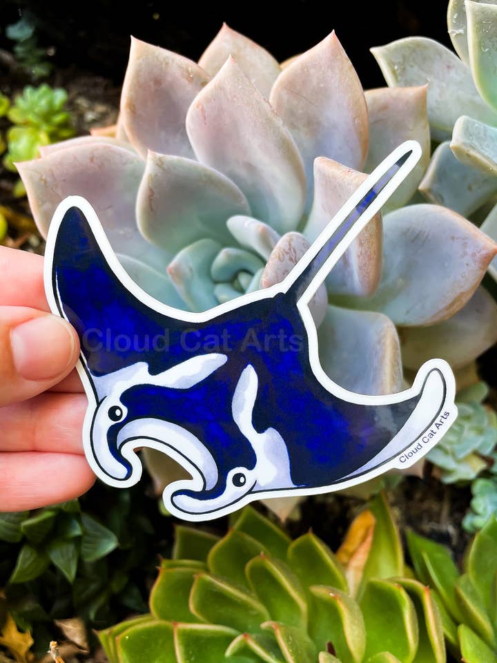 Manta Ray - Marine Life - Vinyl Sticker for wholesale by Cloud Cat Arts