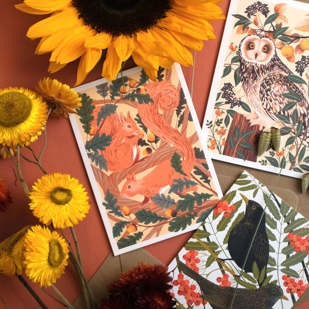 Printer Johnson Ltd – wholesale Everyday greeting card – Red Squirrels | Everyday greetings card | Wildlife, nature3