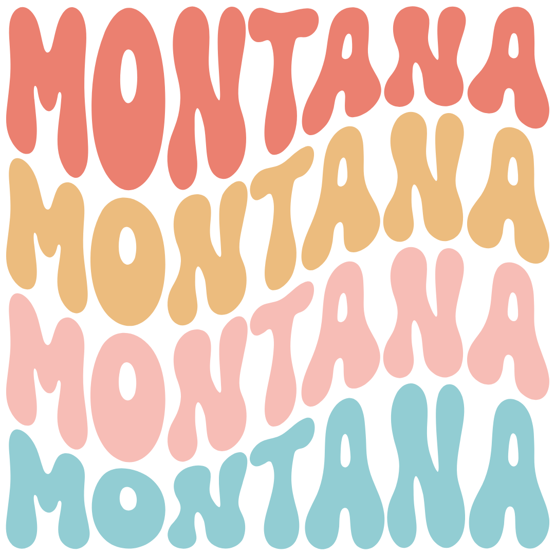 Daisy Mae Designs - Vente Aimants - Tous les 50 États Aimant Fort Acrylique Police Rétro – 2"x2"24