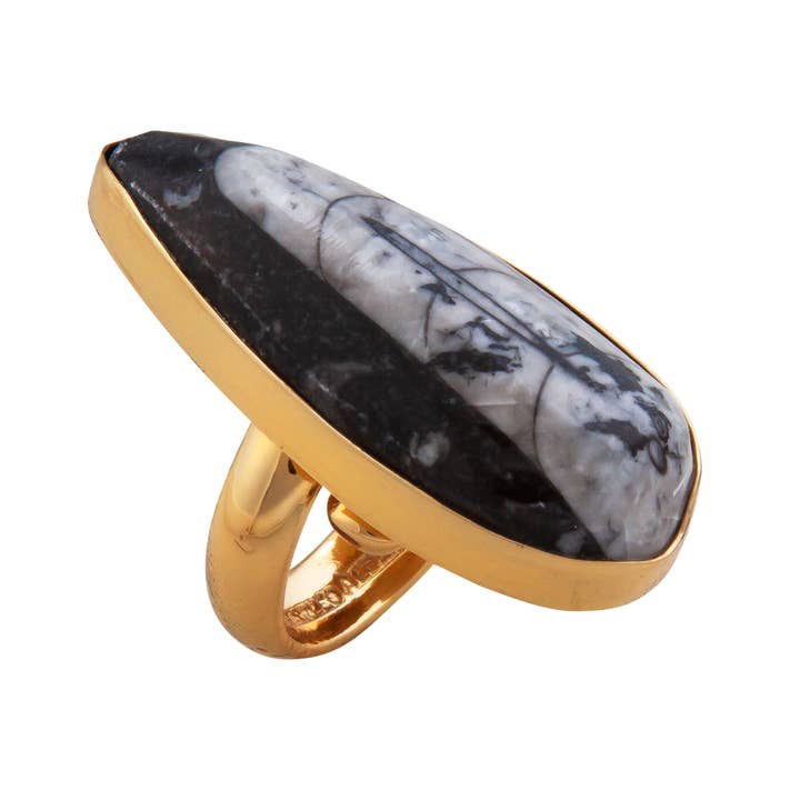 Charles Albert Inc - Wholesale Cocktail/Statement Ring - Alchemia Orthoceras Adjustable Ring3