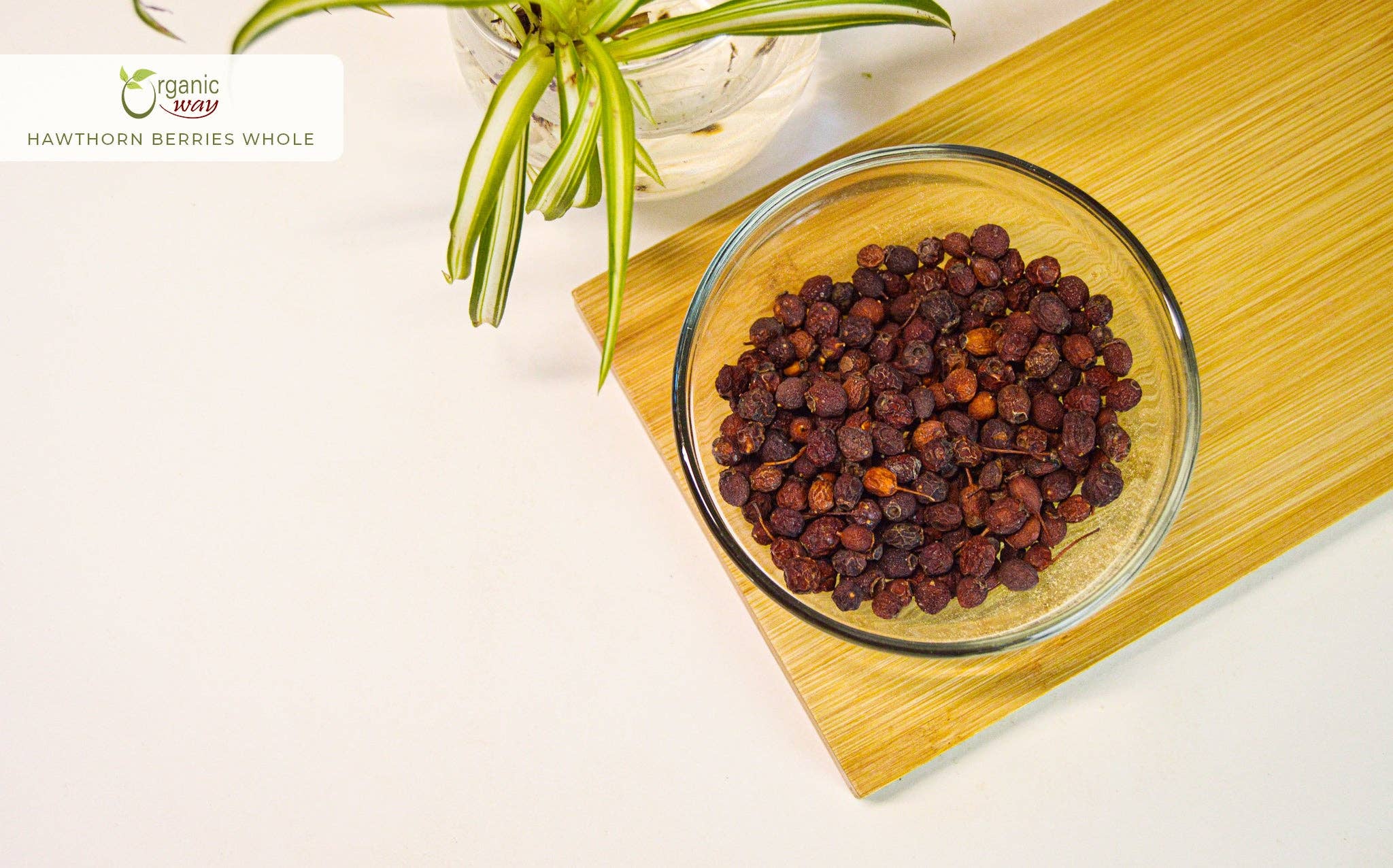 Organic Way LLC - Wholesale Loose Tea - Hawthorn Berries Fruit Whole (Crataegus monogyna) - European Wild-Harvest | Kosher Certified | Vegan, Non GMO & Gluten Free | USDA Certified | Origin - Albania1