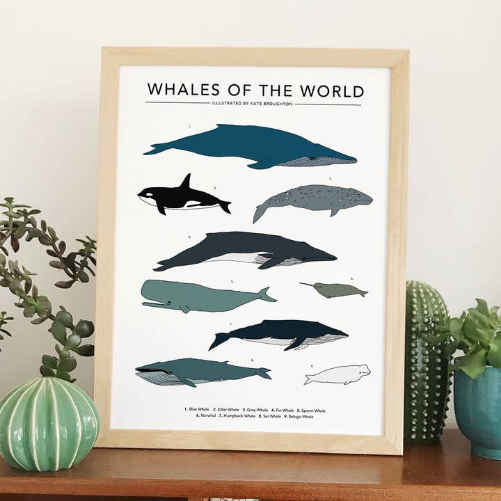 Whales Of The World Print for wholesale by Kate Broughton