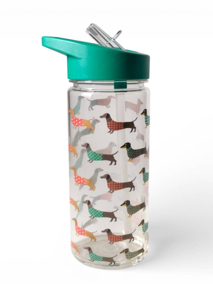 GOURDE 650 ML BASSET pour la vente par Willy be Smart