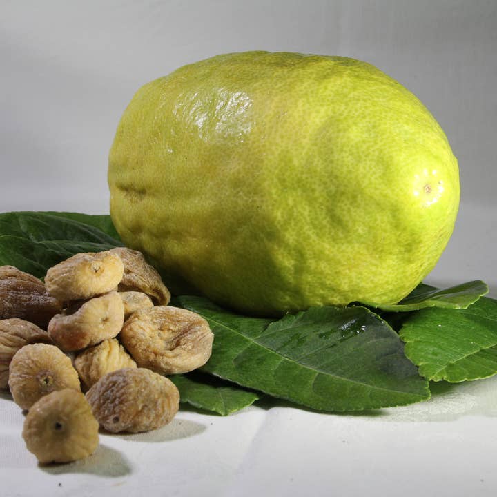 Officine dei Cedri - Wholesale Jam/Jelly - CEDRINA - Citron Marmalade | 100% ITALIAN PRODUCT5