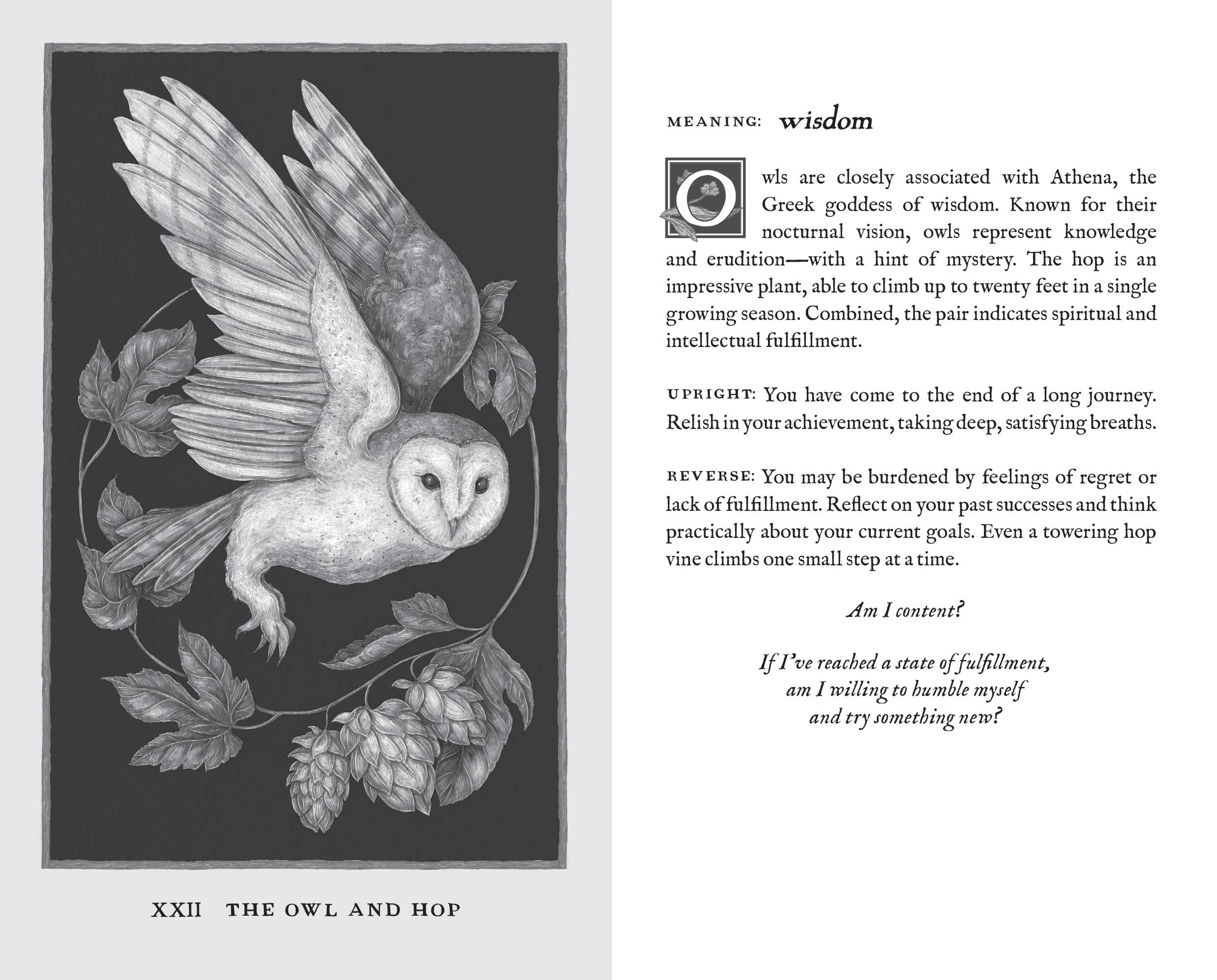 Simon & Schuster UK – wholesale Tarot cards – Woodland Wardens6