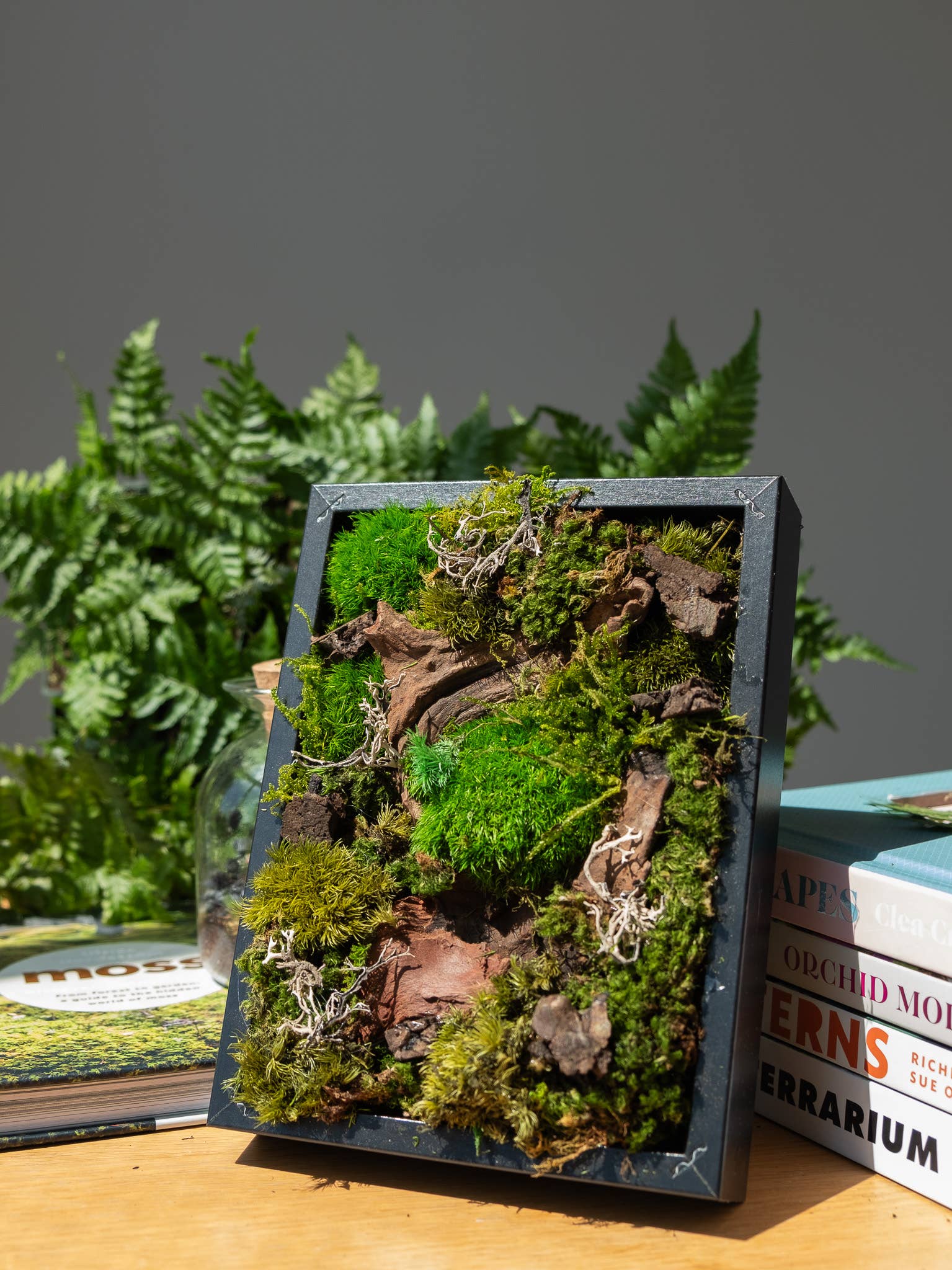 TERRART NYC - Wholesale Wall Planter - Nature's Canvas Moss Wall3