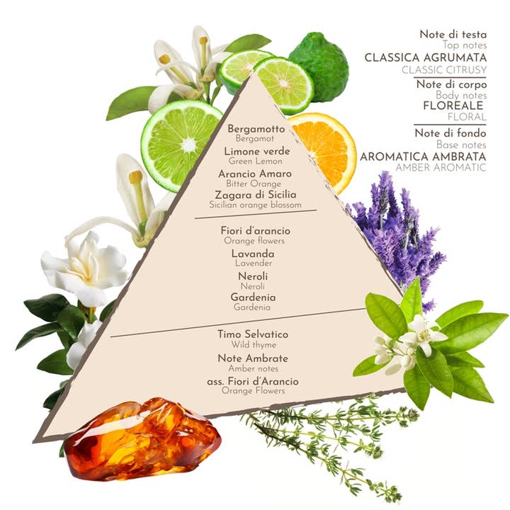 ZUMA - Wholesale Perfume/Eau de Toilette - ZAGARA DI SICILIA EAU DE TOILETTE CITRUS FLORAL PERFUME2