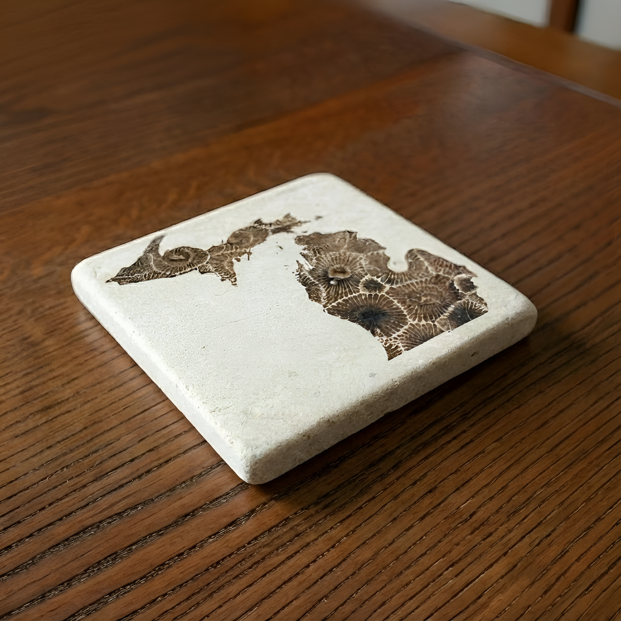 Noomoon - Wholesale Coasters - Michigan Petoskey Stone Printed Coaster5