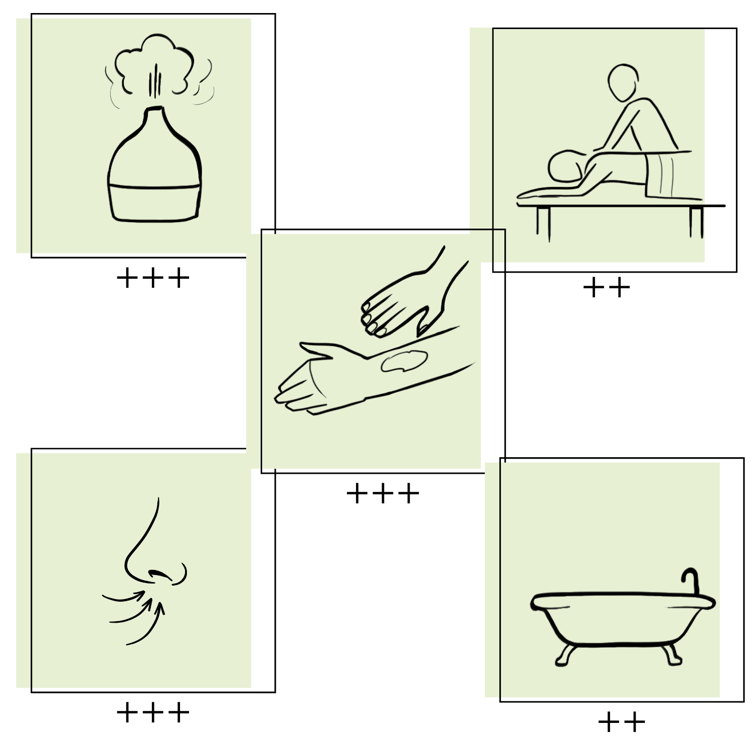 Essences Naturelles Corses – wholesale Eterisk olja – Ekologisk vit rökelse - eterisk olja - aromaterapi - 5 ml2