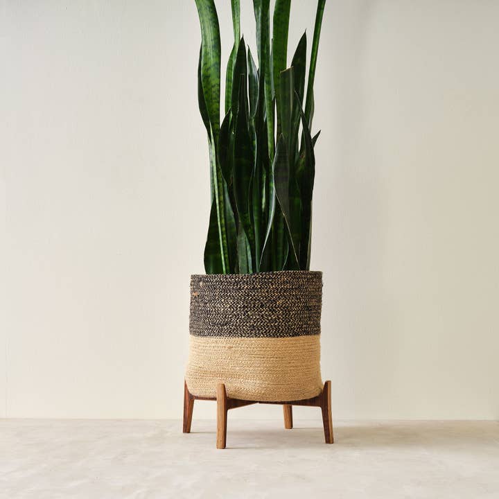 Relic Modern™ | Furniture & Objects - Wholesale Plant Pot Stand - Minimalist Walnut Plant Stand - (4", 6", 8", 10", 12")5