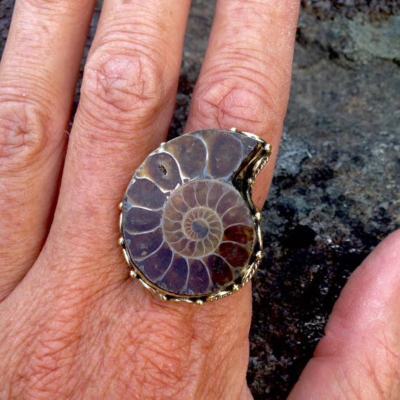 Brass Ammonite Ring / Gold Ammonite Fossil Seashell Ring for wholesale by JAYA MOKSHA