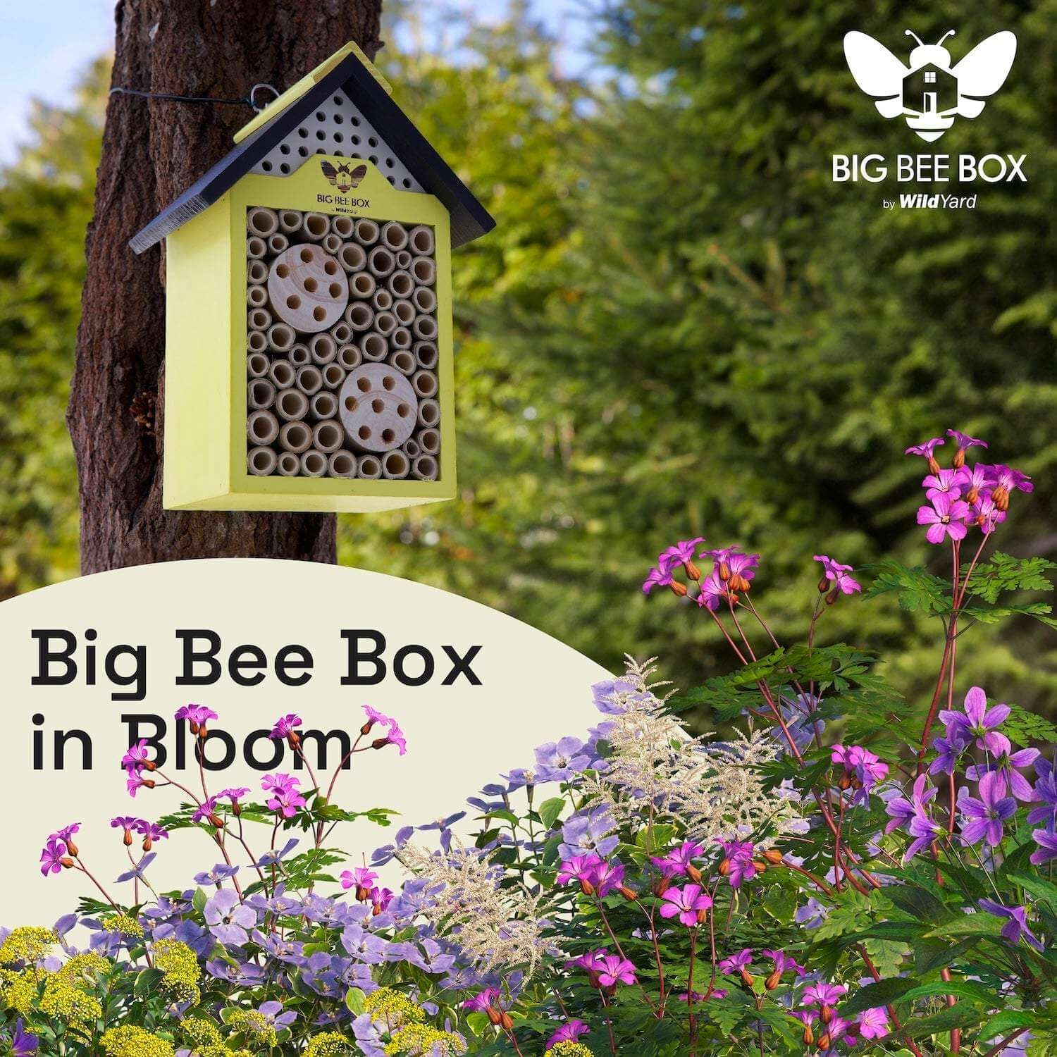 Big Bat Box - Vente Nichoir - Maison à abeilles – Grande boîte pour abeilles10