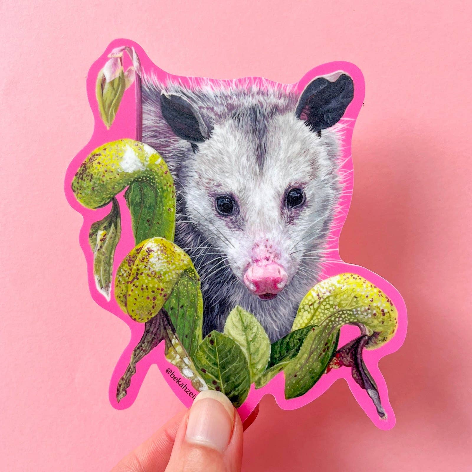 Bekah Zeimetz Art - Wholesale Sticker - Opossum & Cobra Plant Sticker1