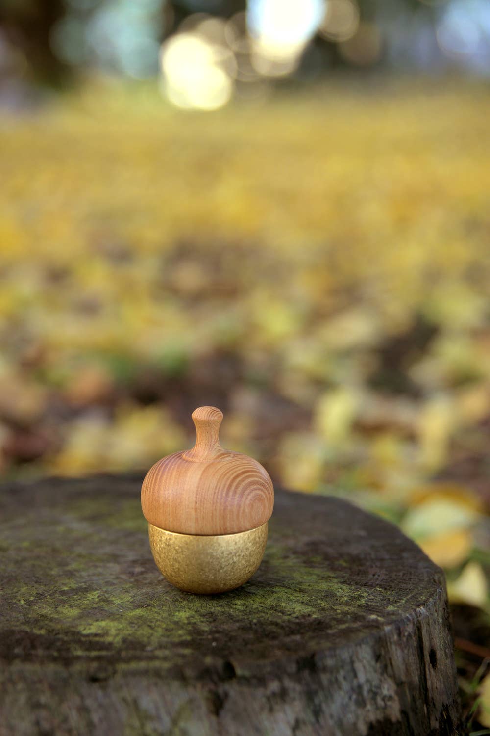 Japacolle — Japan Collections | See Latest News in "About" - Wholesale Bell - KSN Madoka Dongurin0