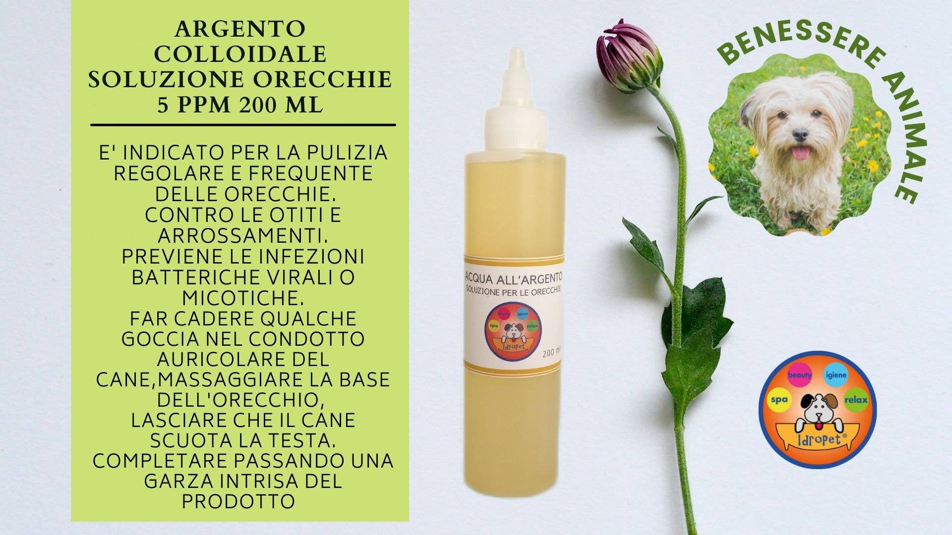 Idropet - Wholesale Pet Grooming Set - Dog - Spa & Beauty kit dedicated to the Maltese dog6