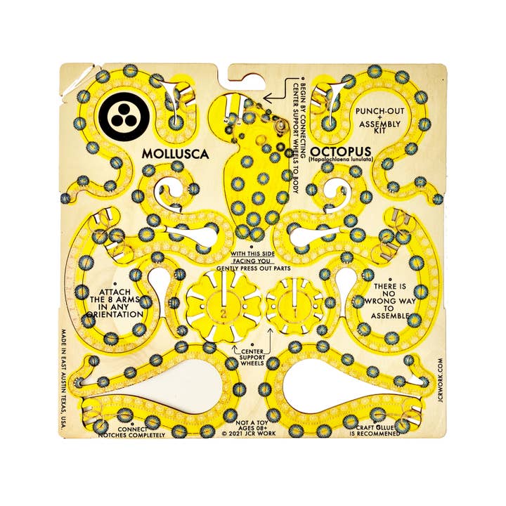 JCR WORK - Venta al por mayor Kit de manualidades - MOLUSCO: PULPO DE ANILLOS AZULES2
