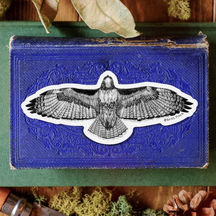 Adesivo in vinile a forma di falco dalla coda rossa per la vendita all'ingrosso da parte di Brittany Finch Art