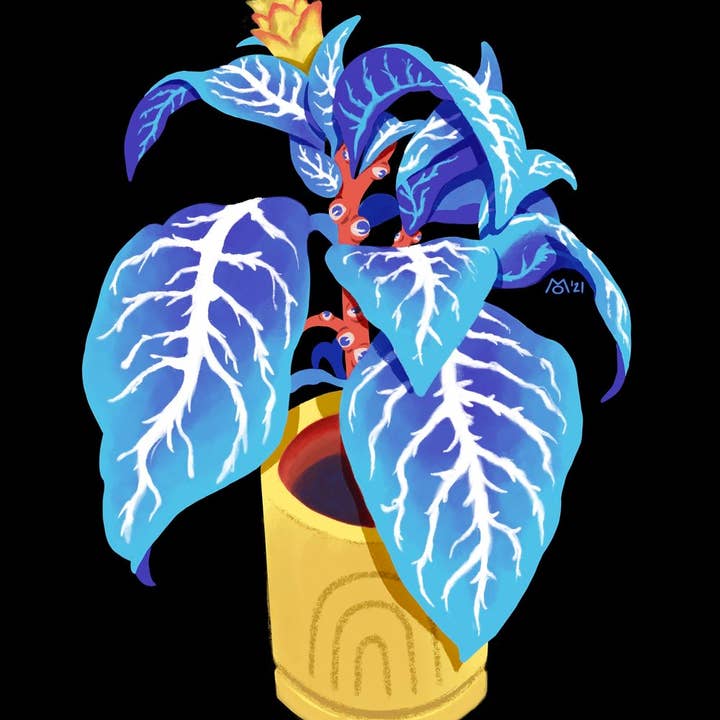 PLANTE ZÈBRE // IMPRESSION NUMÉRIQUE pour la vente par Mo McMasters