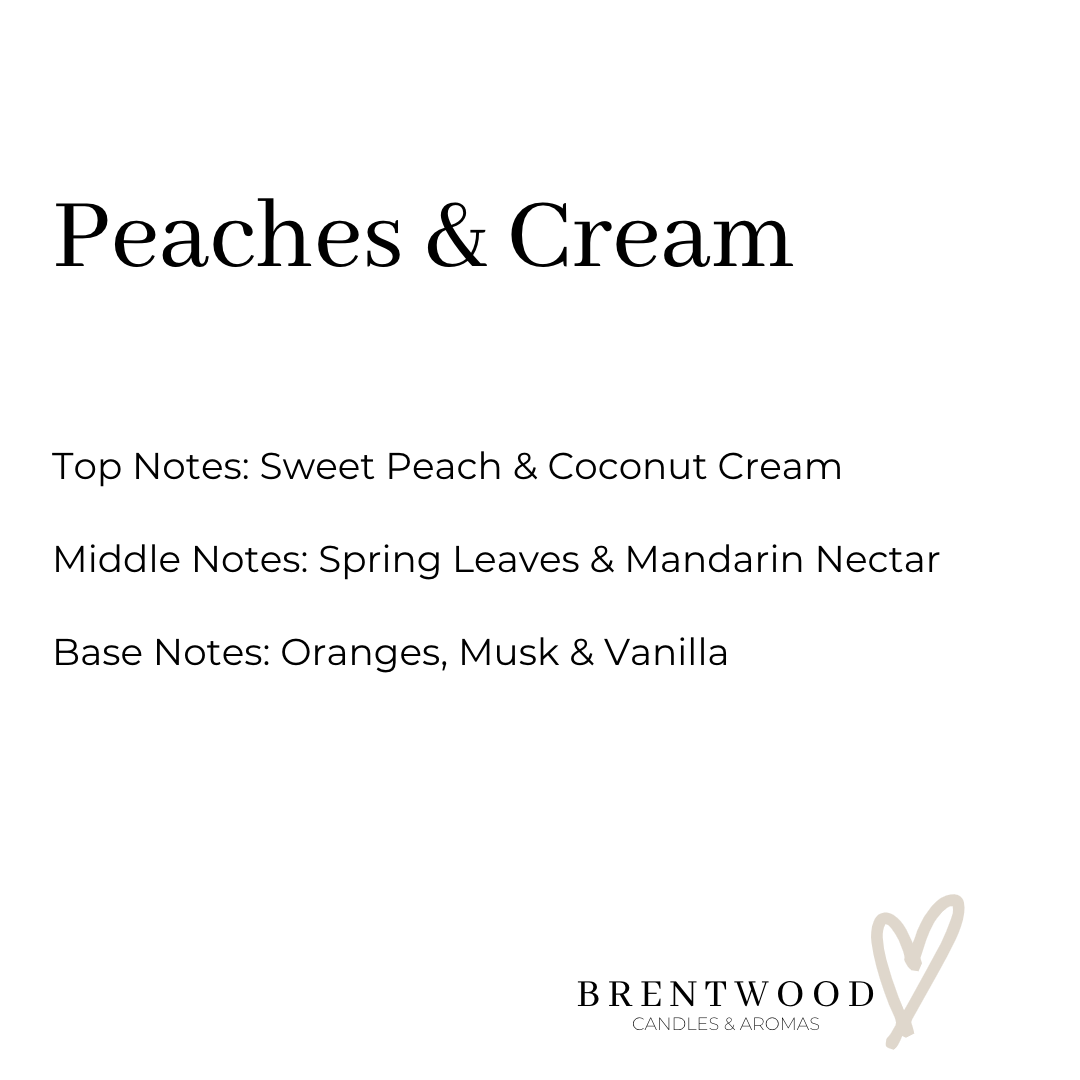 Brentwood Collective - Wholesale Jar/Filled Candle - Peaches & Cream | Candle1