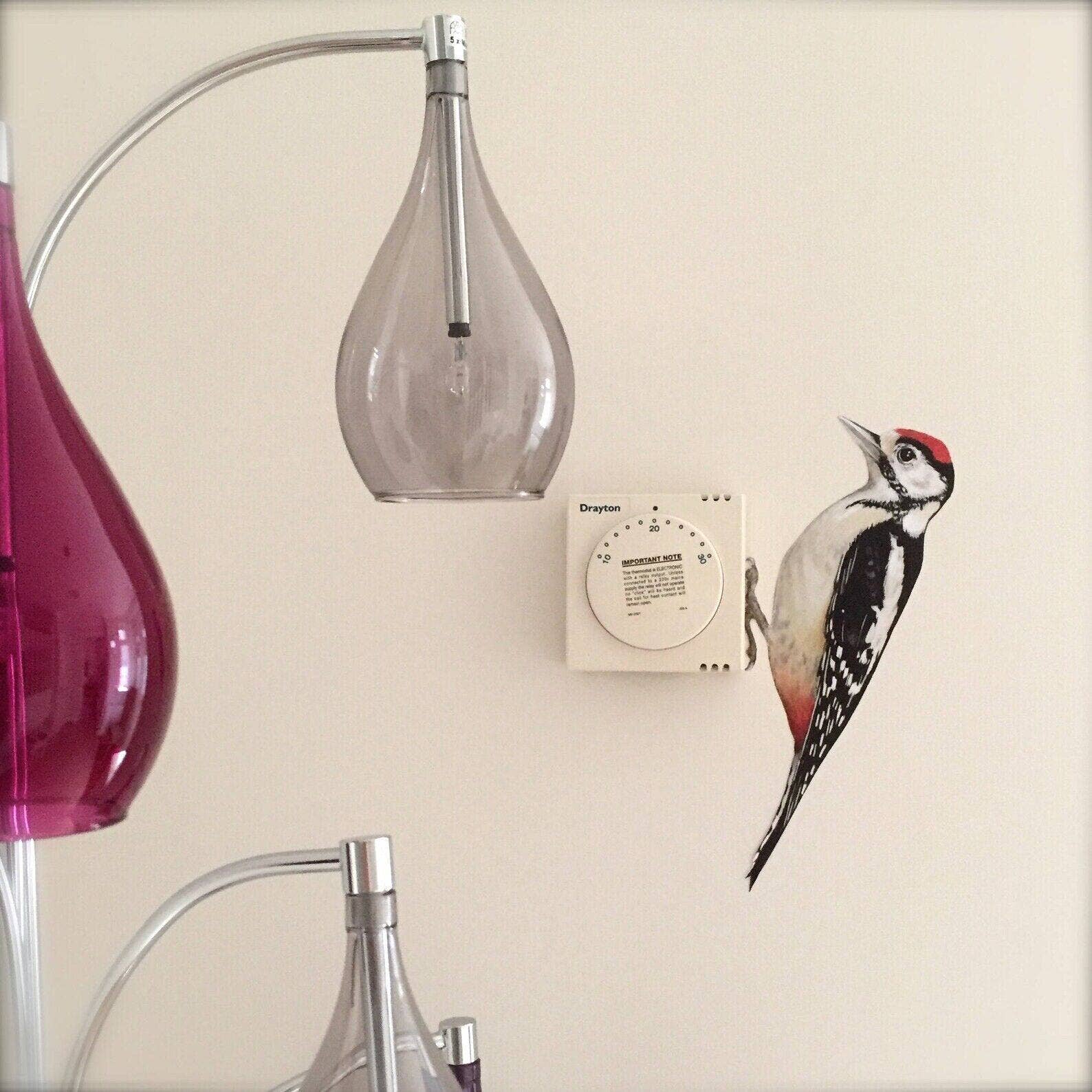 Wonderwallsboutique – wholesale Wall decal/stickers – Whimsical Woodpecker Wall Sticker with Peel and Stick Tech1