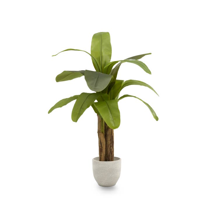 Maia Shop - Wholesale Artificial Plant - Artificial Banana Plant 120 cm6