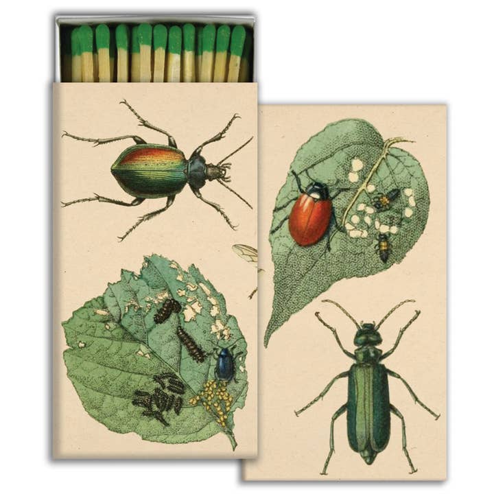 Match - Munching Insects for wholesale by HomArt