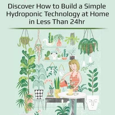 Books by splitShops - Wholesale Technology & Engineering - Hydroponic: Discover How to Build a Simple Hydroponic Technology at Home in Less Than 24hr - Paperback